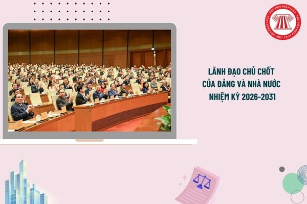 Pháp luật