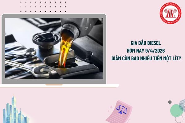 Pháp luật