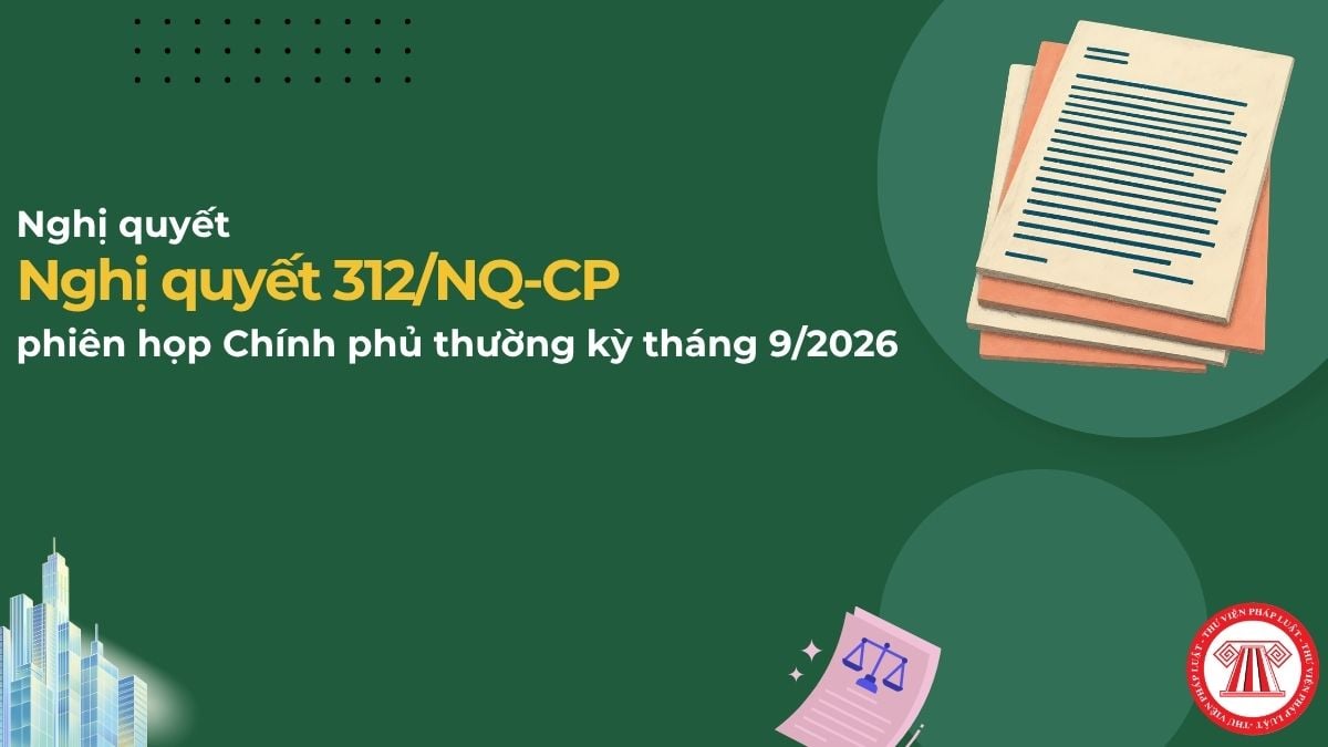 Pháp luật