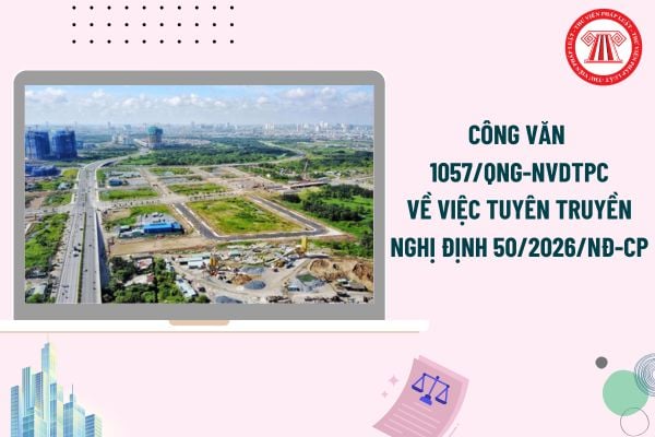 Pháp luật