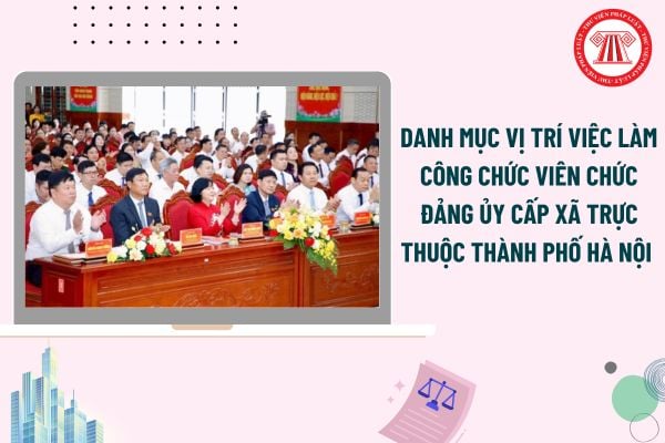 Pháp luật