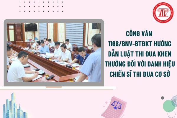 Pháp luật
