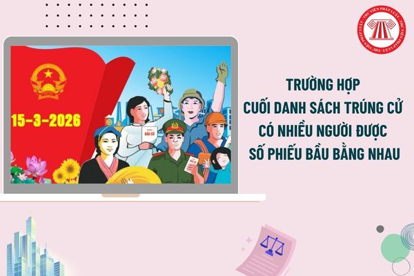 Pháp luật