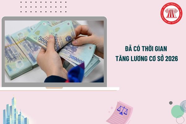 Pháp luật
