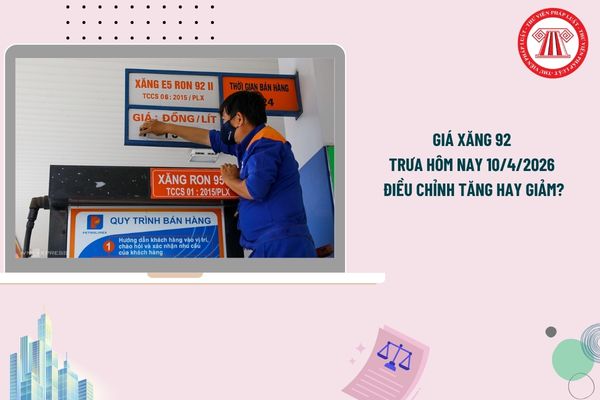 Pháp luật