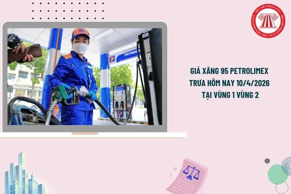Pháp luật
