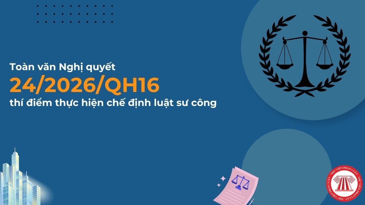 Pháp luật