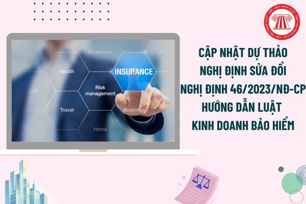 Pháp luật