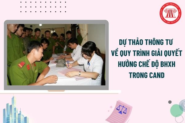 Pháp luật
