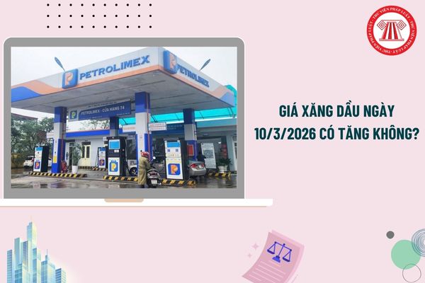 Giá xăng dầu ngày 10/3/2026 có tăng không? Cập nhật giá xăng dầu chiều ngày 10/3/2026 mới nhất?
