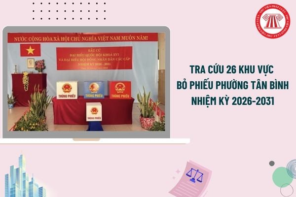 Pháp luật