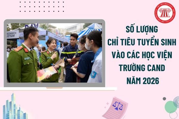 Pháp luật