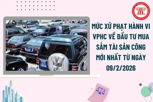 Pháp luật