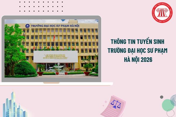 Pháp luật