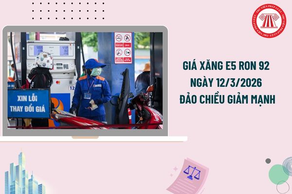Giá xăng E5 Ron 92 ngày 12/3/2026 đảo chiều giảm mạnh? Bảng giá xăng dầu ngày 12/3/2026 chi tiết?