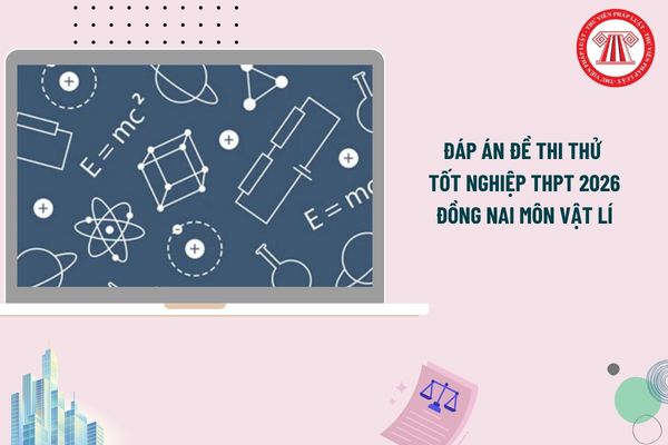 Pháp luật