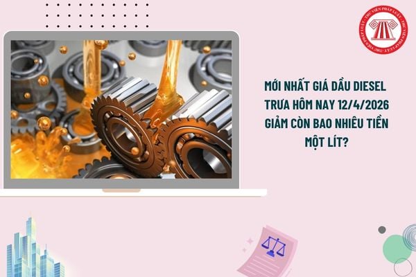 Pháp luật