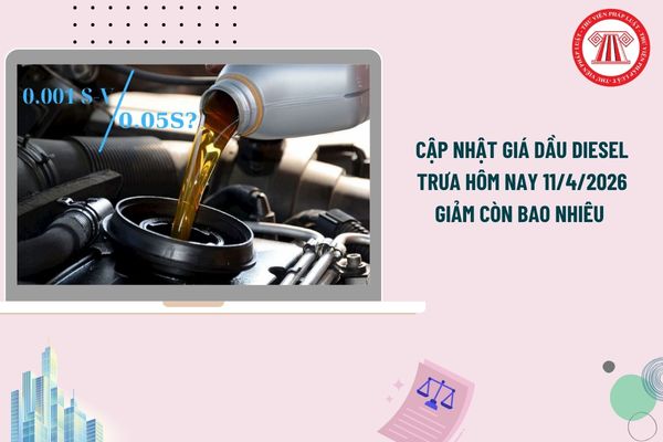 Pháp luật