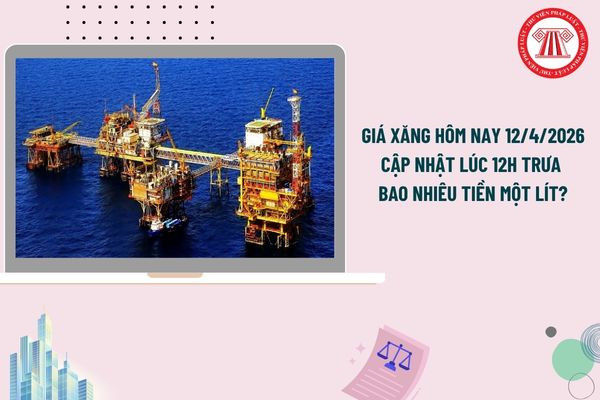 Pháp luật