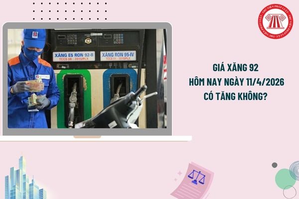Pháp luật