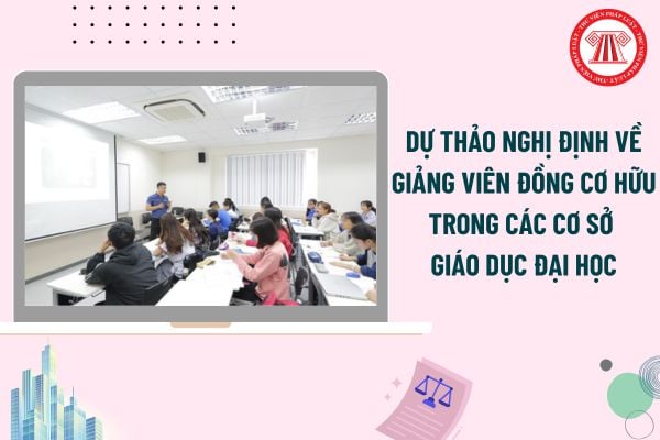 Pháp luật