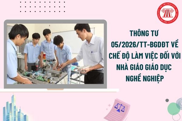 Pháp luật