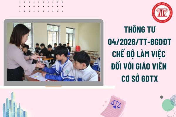 Pháp luật