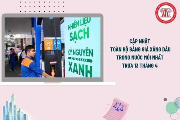 Pháp luật