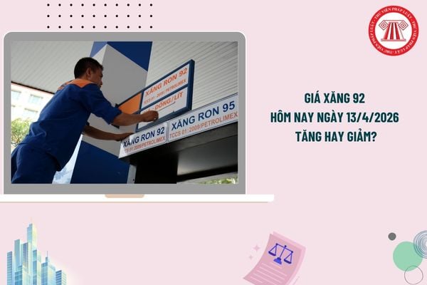 Pháp luật