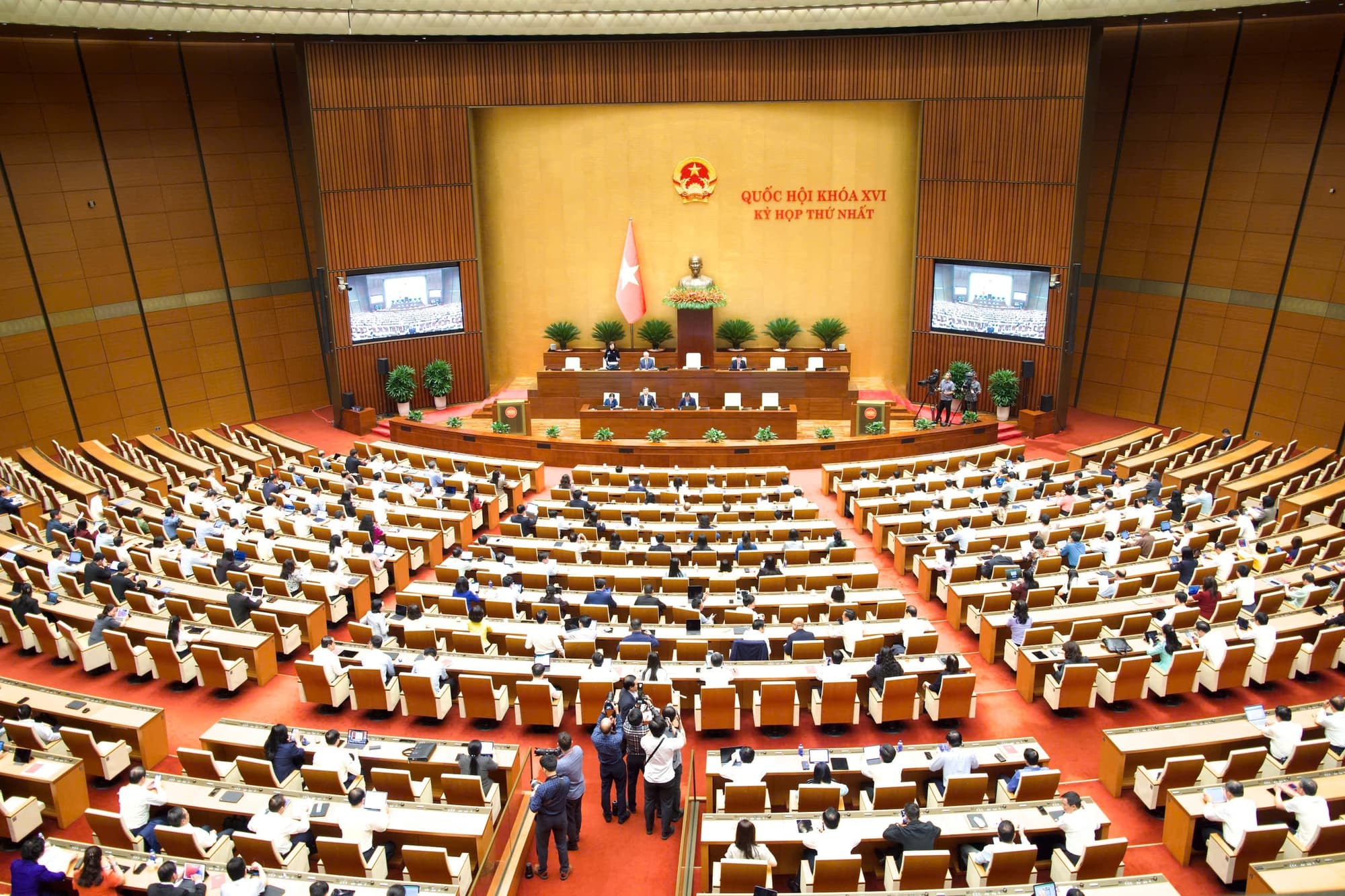 Pháp luật