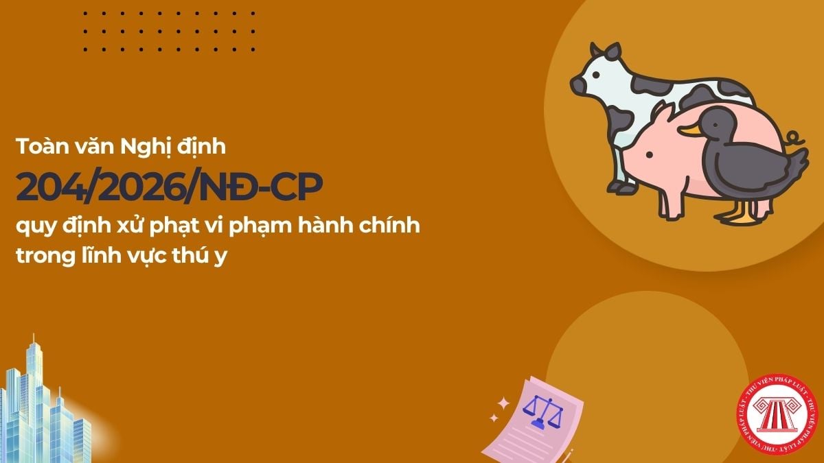Pháp luật