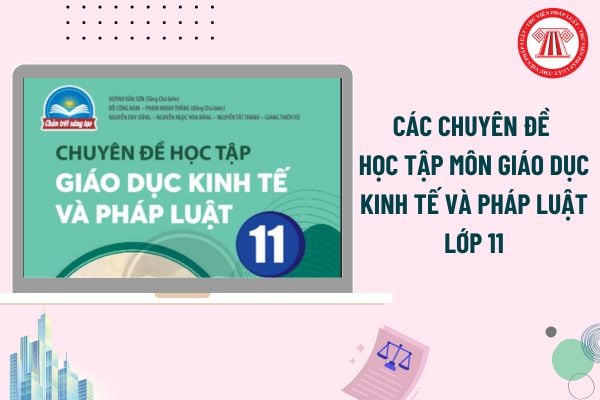 Pháp luật