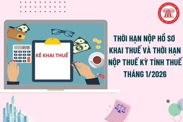 Pháp luật