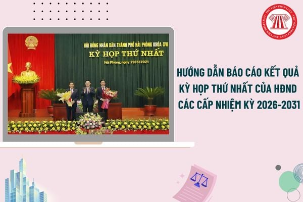 Pháp luật