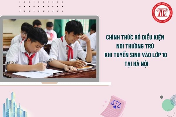 Pháp luật