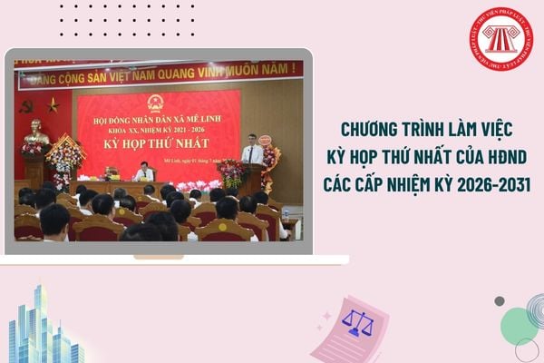 Pháp luật