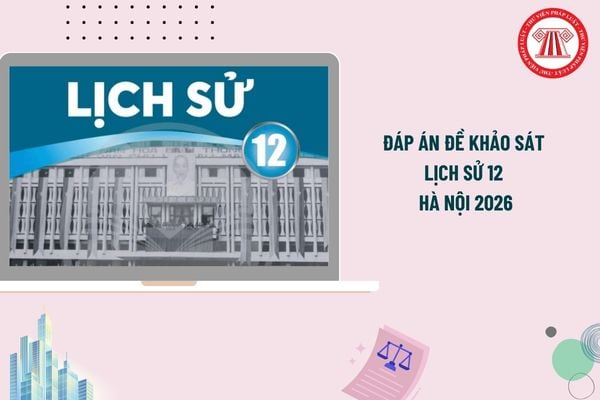 Pháp luật