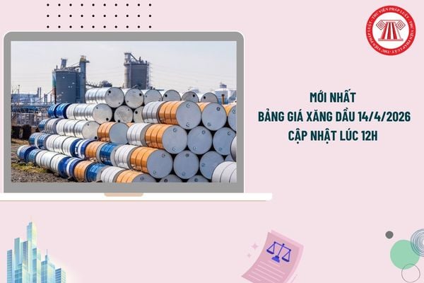 Pháp luật