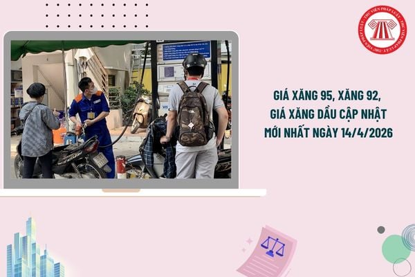 Pháp luật