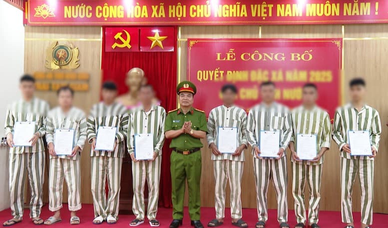 Pháp luật
