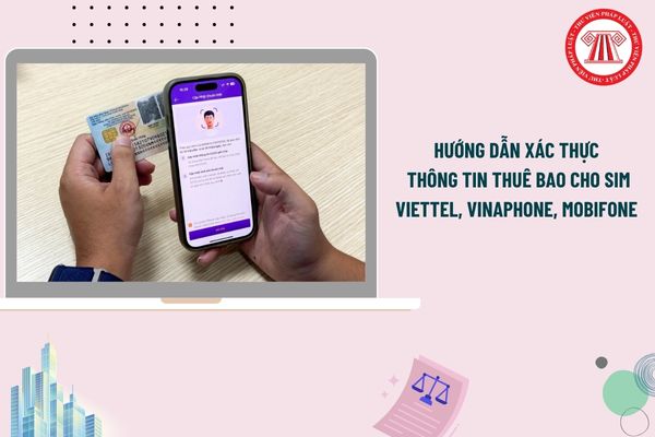 Pháp luật