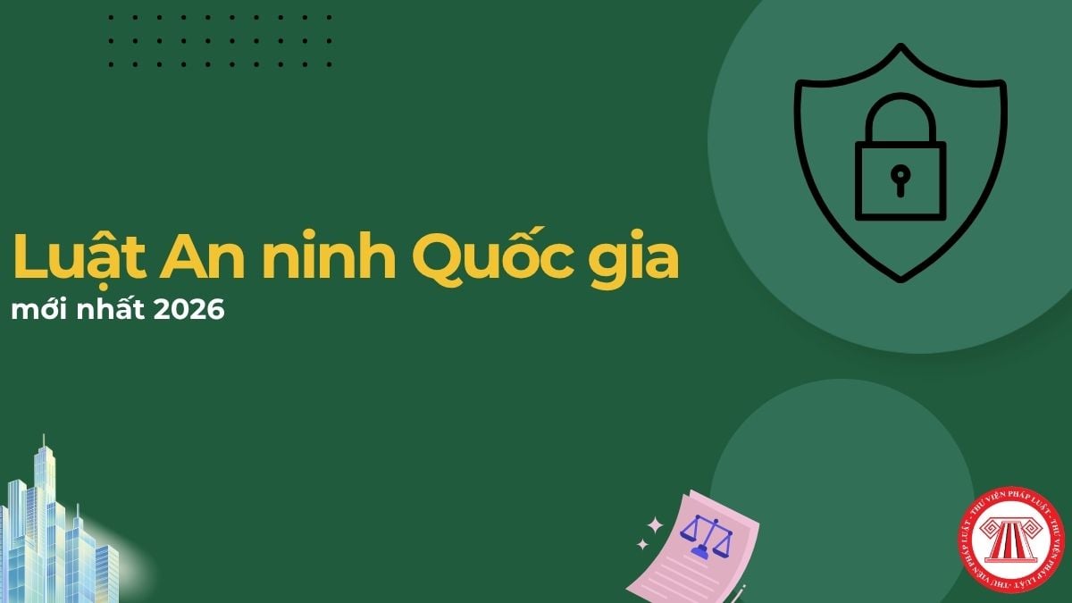 Pháp luật