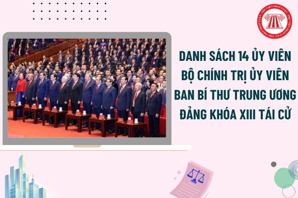 Pháp luật