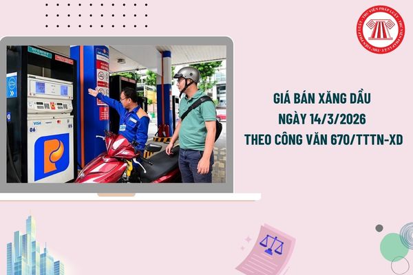 Pháp luật