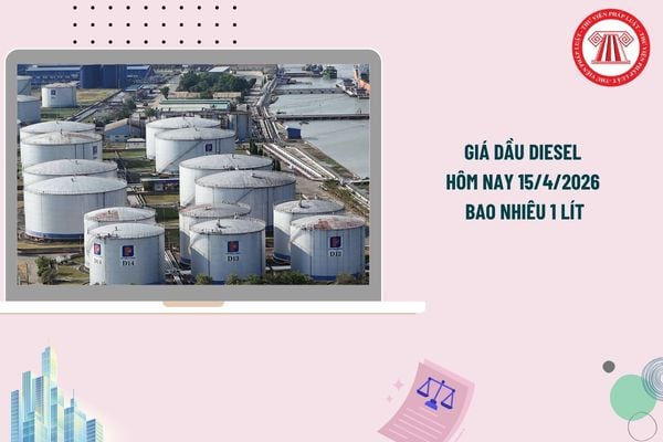 Pháp luật