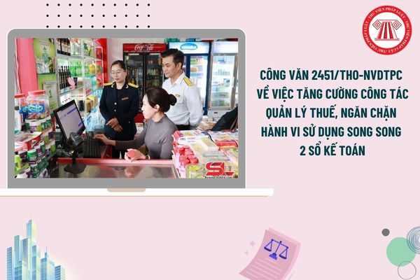 Pháp luật