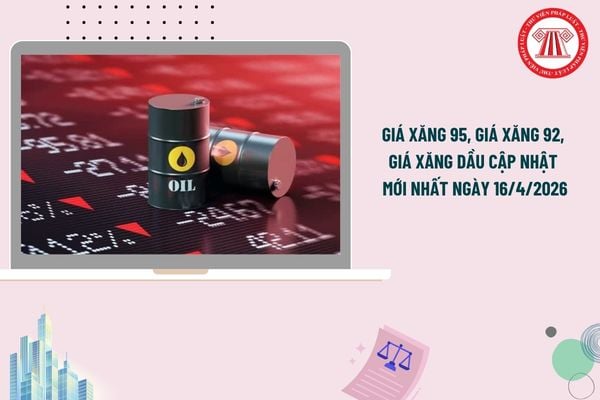 Pháp luật