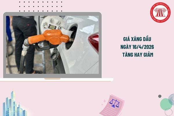 Pháp luật