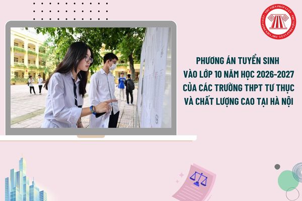 Pháp luật