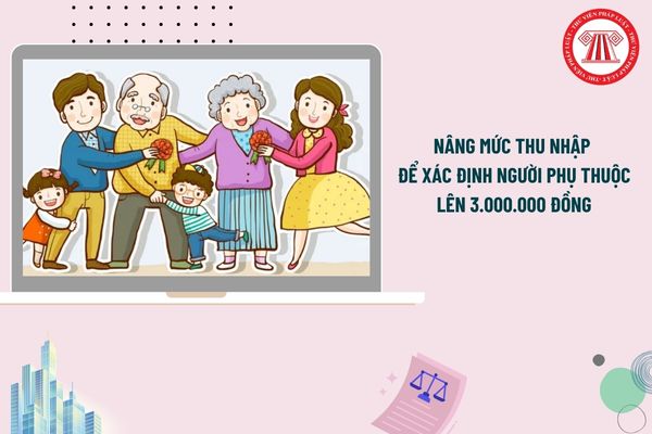 Pháp luật